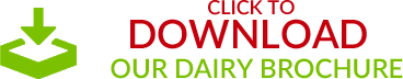 Download our Dairy Brochure