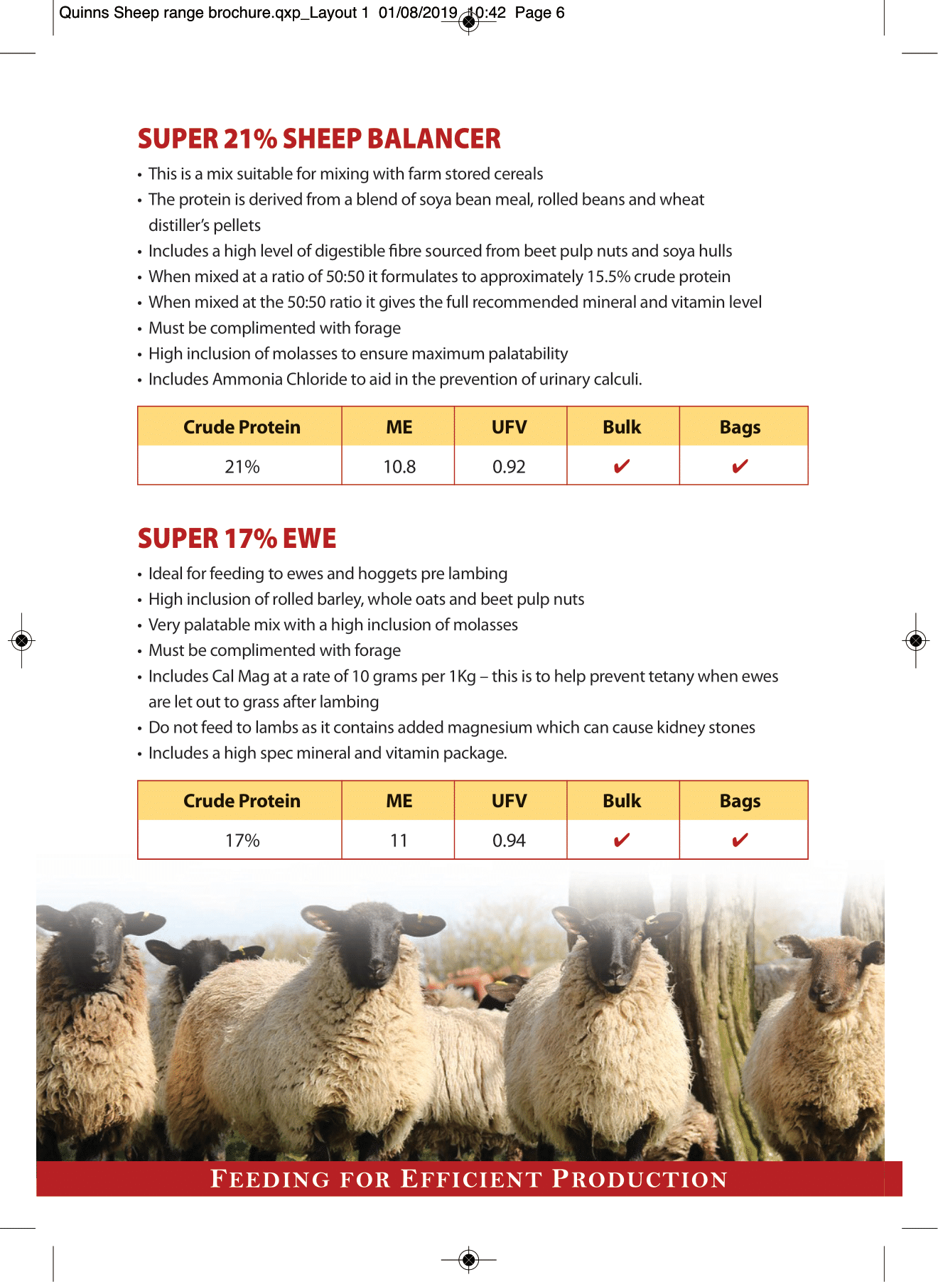Quinns Sheep range brochure AW-6