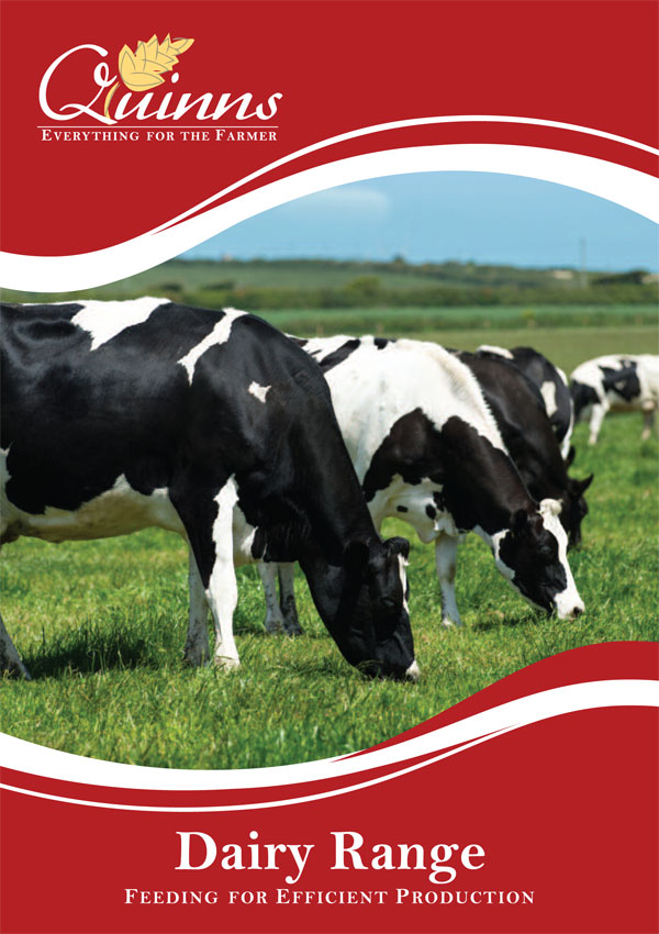 Dairy Range Brochure1